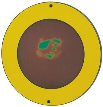 Magic Circles Wall Panel-Finger Painting Toy-Blue, Green or Maize